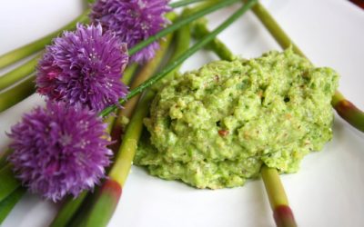 Spring has sprung and so has the green garlic