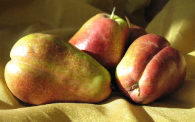 The Pear: Oh Sweet and Savory Seductress