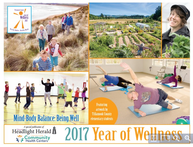 Year of Wellness 2017 – In Review, Looking toward YOW 2018