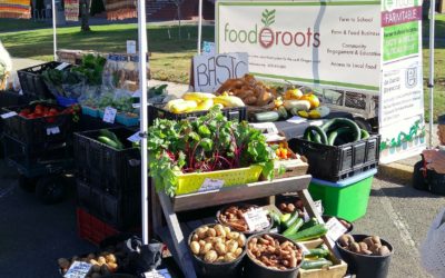 Choosing and Storing Farmer’s Market Produce