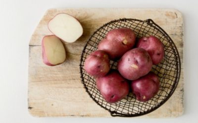 Potatoes Repurposed — German Potato Salad