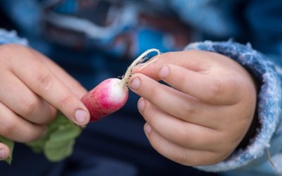 Farm to School: Education and Celebration