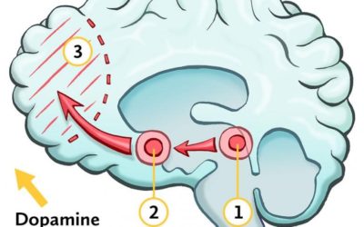 The Gift of Resiliency: Protecting a Growing Brain