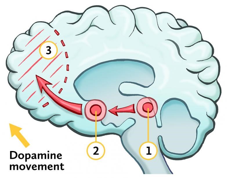 The Gift of Resiliency: Protecting a Growing Brain