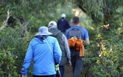 Explore Nature Series offers hikes, walks, paddles and tours highlighting the great outdoors