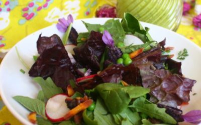  Spectacular Summer Salads