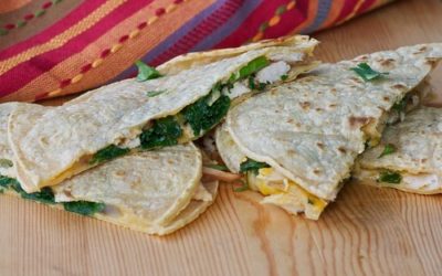 Turkey Cranberry Quesadilla