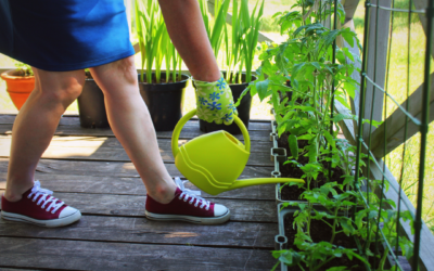 Container Gardening: The Basics