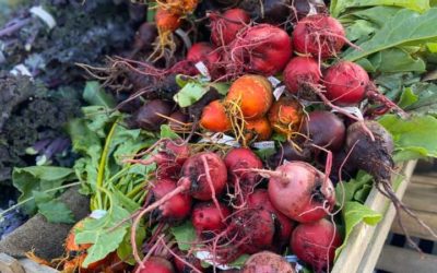 Tillamook County Farmers Markets: More Days and More Incentives to Shop Local