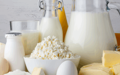 Bone Health Across the Lifespan: How Dairy Foods Help at Every Age
